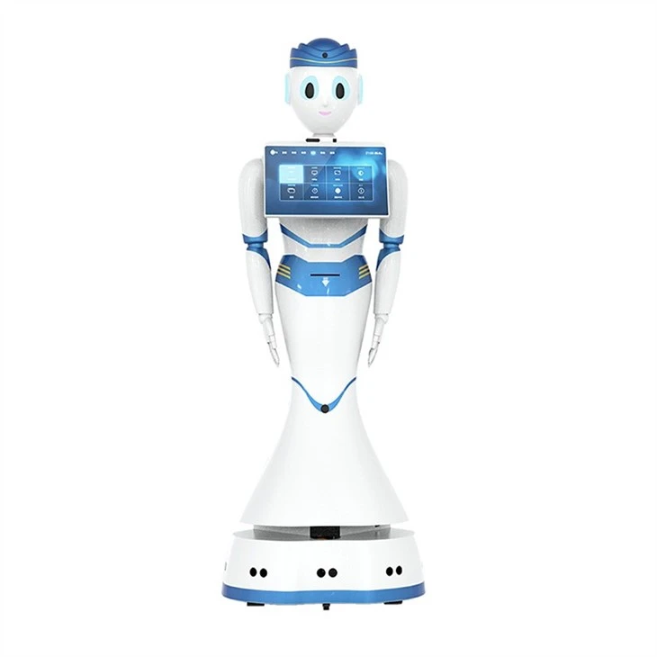 Intelligent Service Robot