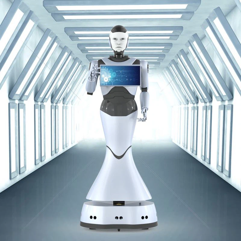 Reeman Robots, E-Ticaret Platformlarının Düzenini Hızlandırıyor