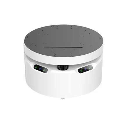 REEMAN Robot Şasisi Fenomenini Keşfetmek: Bu Heyecanı Tetikleyen Nedir?